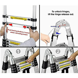 Avis Échelle Télescopique Pliante, Charge Maximale : 150 kg - 3.8m (1.9M+1.9M)