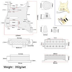 Guitare Pickguard