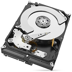 Avis Seagate Technology Skyhawk Surveillance Disque Dur Interne 3To HDD 3.5" 5900RPM SATA Noir