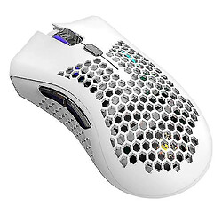 Universal Souris sans fil souris de jeu rechargeable (blanc)