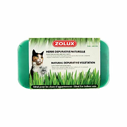 Acheter ZOLUX Herbe à chat dépurative naturelle (Lot de 3).