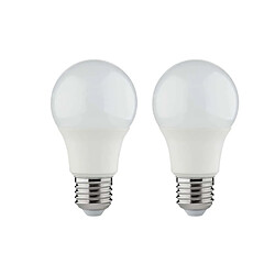 Ampoule LED XXCELL Standard - E27 équivalent 100W x2 