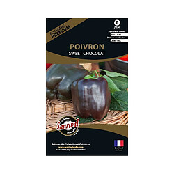 Sanrival Graines potagères premium poivron Chocolat