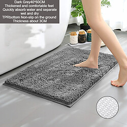 LUUCOZK Tapis de bain antidérapants, absorbants, à séchage rapide, décoration de salle de bain, gris foncé, dessous en TPR, 40x60cm-Taille standard 