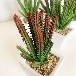 Avis Wellhome Lot de 6 Cactus cardon Assortis artificiels et Pot en céramique 12 x 8 x 8 cm