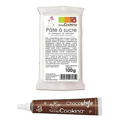 Scrapcooking Stylo chocolat + Pâte à sucre blanche 100 g 