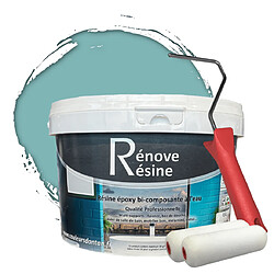 Pok Peinture Résine multisupport Intérieur 0,5L