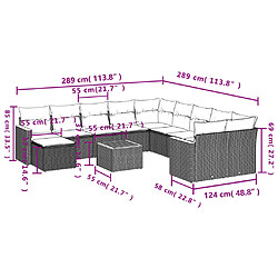 Avis vidaXL Salon de jardin avec coussins 12 pcs beige résine tressée