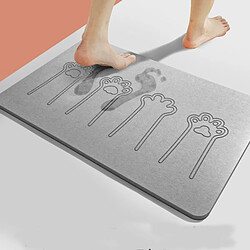 LUUCOZK Tapis de bain antidérapants absorbants à séchage rapide pour salle de bain - Griffe de chat - Gris-39x60cm