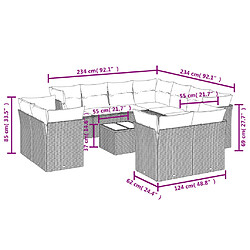 Avis vidaXL Salon de jardin avec coussins 12 pcs beige résine tressée