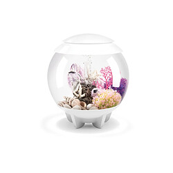 Aquarium décoratif 15l blanc - Halo 15 MCR white - OASE