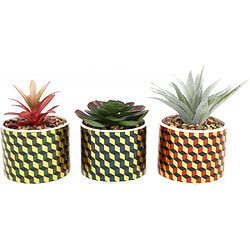 Sil Plantes succulentes artificielles Cubic (Lot de 3). Plantes succulentes artificielles Cubic (Lot de 3)