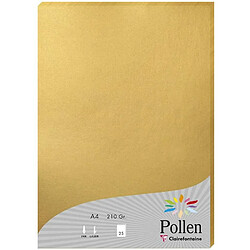 Clairefontaine 24390C - Un étui de 25 feuilles Pollen 21x29,7 cm 210g, Or