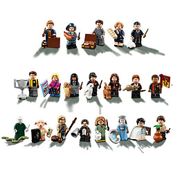 71022 LEGO® Minifigures Harry Potter™et Animaux fantastiques