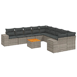 Maison Chic Salon de jardin 11 pcs avec coussins, Ensemble Tables et chaises d'extérieur gris résine tressée -GKD380757