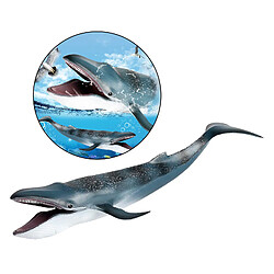 Figurines D'action de Baleine Bleue Réalistes Jouet D'apprentissage de Modèle de Créature D'animal de Mer