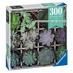 Ravensburger Puzzle Moment Green 300 pieces 