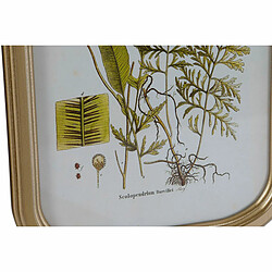 Cadre DKD Home Decor Moderne Plantes botaniques 30 x 2 x 45 cm (9 Unités)