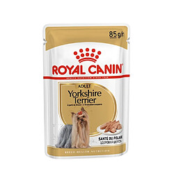 Royal Canin Breed Health Nutrition Yorkshire Terrier Adulte Sachets pas cher