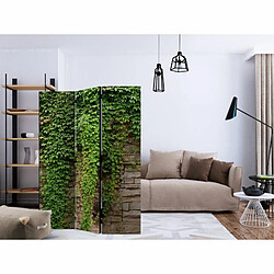 Paris Prix Paravent 3 Volets Ivy Wall 135x172cm