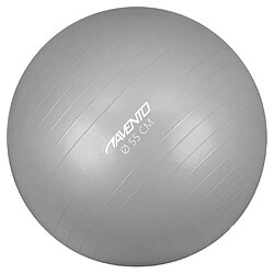 Avento Ballon de fitness/d'exercice Diamètre 55 cm Argenté 