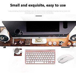 Universal Souris Bluetooth rechargeable pour Mac ordinateur portable Souris Bluetooth sans fil -ThSinde