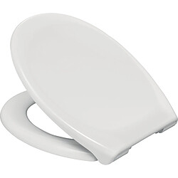 abattant wc - frein de chute et déclipsable - 45 x 37.6 cm - alterna 95900311 