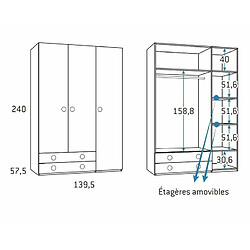 Avis Inside 75 Armoire 3 portes 2 tiroirs gauche 139,5 x 57,5 x 240 cm finition chêne blanchis