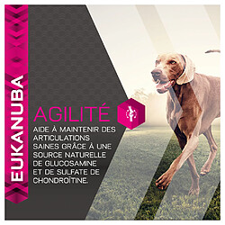 Acheter Croquettes à l'Agneau et Riz pour Chien Adulte de Grande Taille - Eukanuba - 12Kg