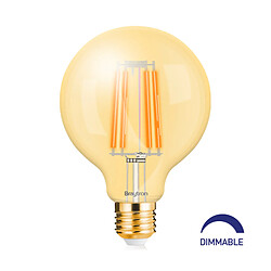 BRAYTRON Ampoule LED G95 filament 6W E27 2200K Dimmable