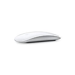 Souris Apple