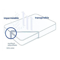 Avis Moshy Protège matelas Coral 90x200cm - bonnet de 30cm