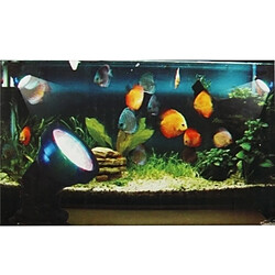 Wewoo LED sous-marines noir 2.3W 36 Amphibious Fish Tank / Aquarium Coloré Étanche Spots, Profondeur Étanche: 1-1.5m