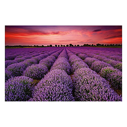 puzzle 1000 pièces adultes enfants bricolage puzzle cadeau champ de fleurs de lavande Puzzles pour adultes