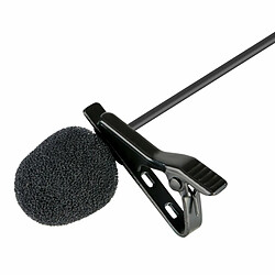 Microphone