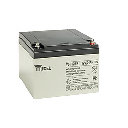 batterie au plomb - 12 volts - 24 ah - yuasa y24-12ifr