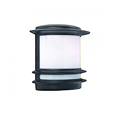 Searchlight Applique murale Stroud Noir 1 ampoule 24cm