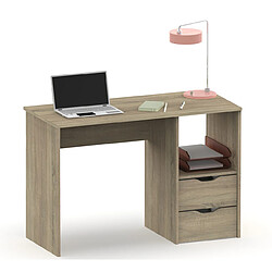 Pegane Bureau 2 tiroirs coloris Cambrian - Hauteur 76 x Longueur 115 x Profondeur 50 cm