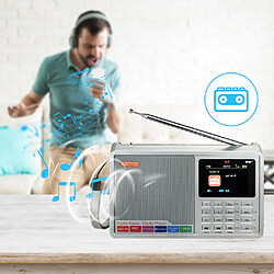 Universal Radio numérique FM stéréo/DAB radio multibande 2.4 TFT LCD écran couleur réveil 18650 LITHIUM ELECTROGRAMME(Argent) 