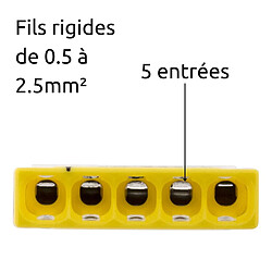 Lot de 10 bornes S2273 - Connexion rapide - 5 conducteurs - fils rigides 2.5mm² - transparent - Wago