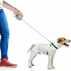 Justgreenbox Laisse de chien rétractable de 6,56 pieds poignée antidérapante extensible pour petits et moyens animaux de compagnie marchant, Blanc1