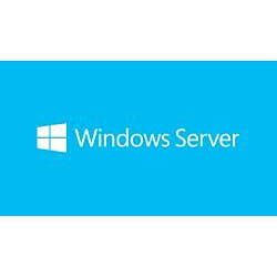 Microsoft Windows Server 2019 (MS SB Win. 2019 5 Dev. CAL [DE])