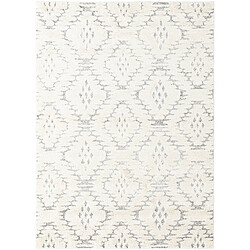 Hadorn Tapis 220x160 gris clair Vevey