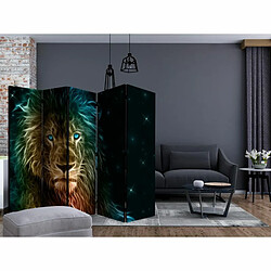 Paris Prix Paravent 5 Volets Abstract Lion... 172x225cm