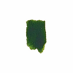 Rico Peinture Aquarelle - Vert mousse - 1/2 godet