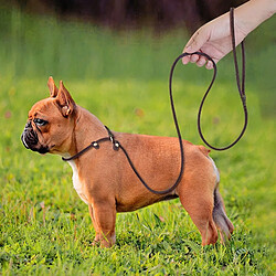 Universal Cuir antidérapant pour chien, laisse de plomb, col de chaîne, fil de marche pour animal de compagnie, longue corde pour chien, traction pour chiot, petit chien.