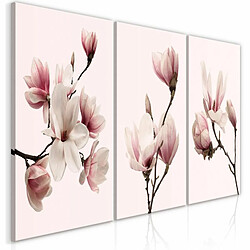 Paris Prix Tableau Imprimé Spring Magnolias 3 Panneaux 60x120cm 