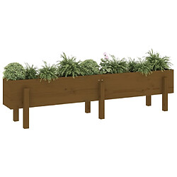 Avis Maison Chic Jardinière,Lit surélevé de jardin - Bac à fleurs - pot de fleur marron miel 160x30x38 bois de pin massif -GKD57849