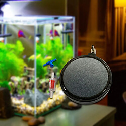 Acheter Air pierres pour aquariums fish tank air diffuseur