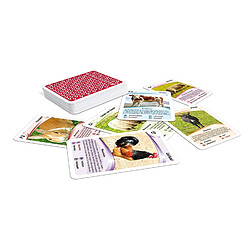 Avis Mercury SA Quartet ? Jeu de Cartes, Animaux de la Ferme - Ass Altenburger 22572088.